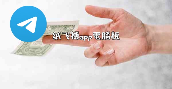 纸飞機app電腦板