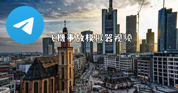 飞機事故模拟器视频