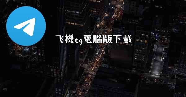 飞機tg電腦版下載