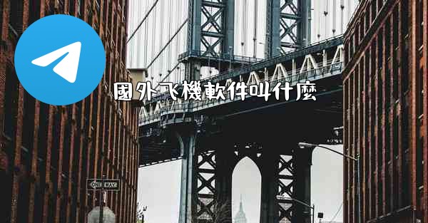 <b>國外飞機軟件叫什麼</b>