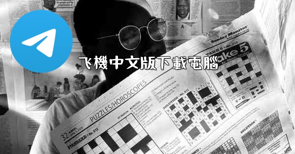 飞機中文版下載電腦