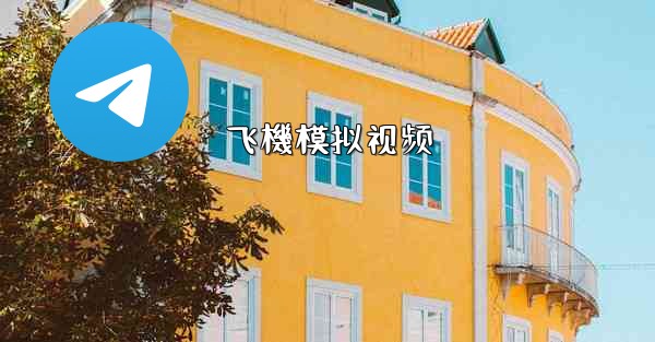 飞機模拟视频