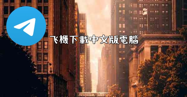 飞機下載中文版電腦