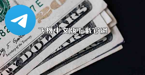 飞機中文版下載官網