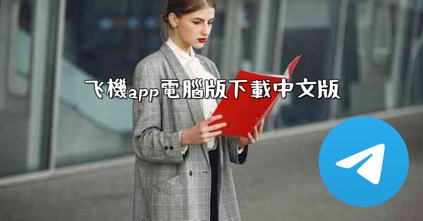 飞機app電腦版下載中文版