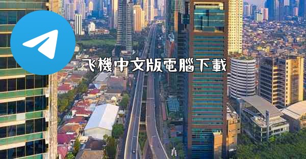 飞機中文版電腦下載