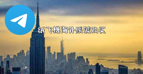 纸飞機海外賬號购买