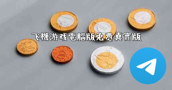 飞機游戏電腦版免费真實版