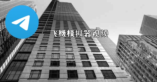 飞機模拟器视频