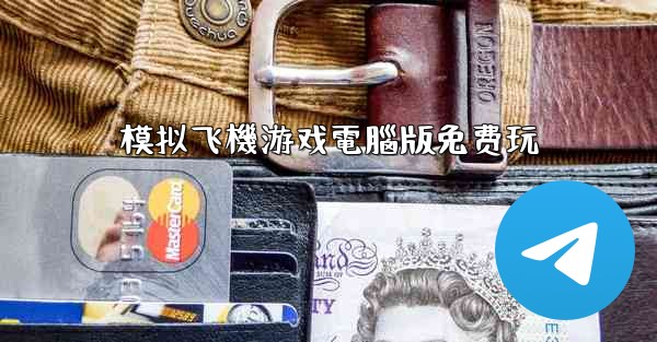 模拟飞機游戏電腦版免费玩