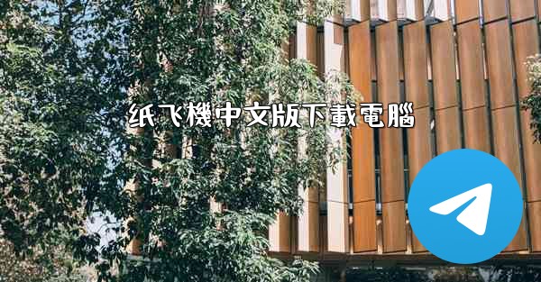 纸飞機中文版下載電腦