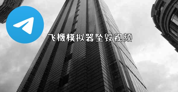 飞機模拟器坠毁视频