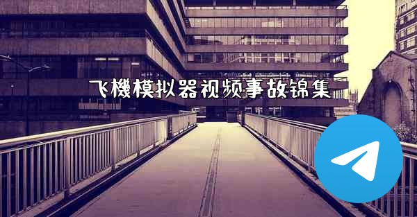 飞機模拟器视频事故锦集