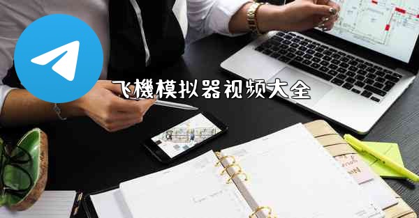 飞機模拟器视频大全