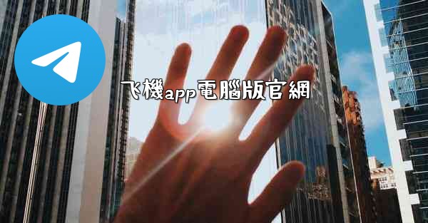 飞機app電腦版官網