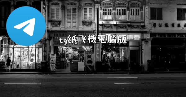 tg纸飞機電腦版