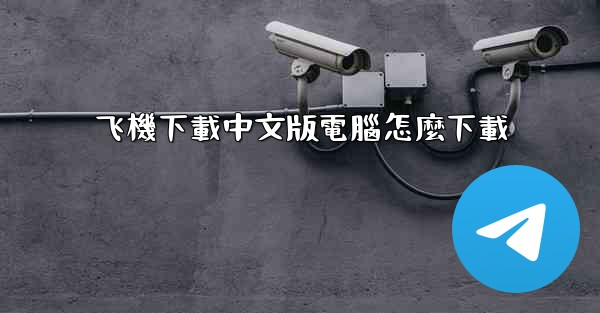 飞機下載中文版電腦怎麼下載