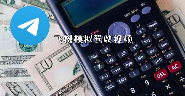 飞機模拟驾驶视频