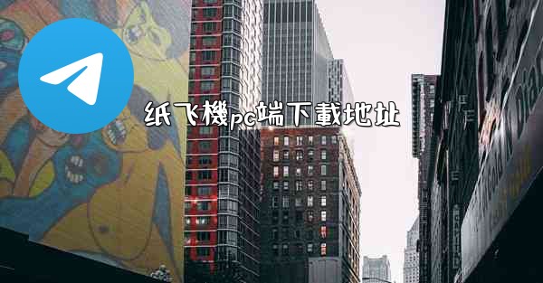 纸飞機pc端下載地址