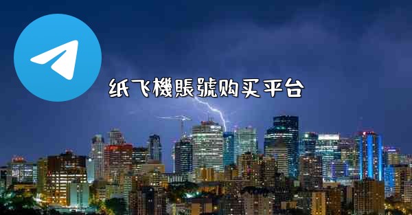 纸飞機賬號购买平台