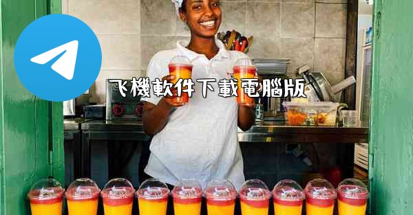 飞機軟件下載電腦版