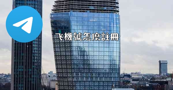 飞機號怎麼註冊