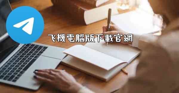 飞機電腦版下載官網