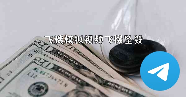 飞機模拟视频飞機坠毁