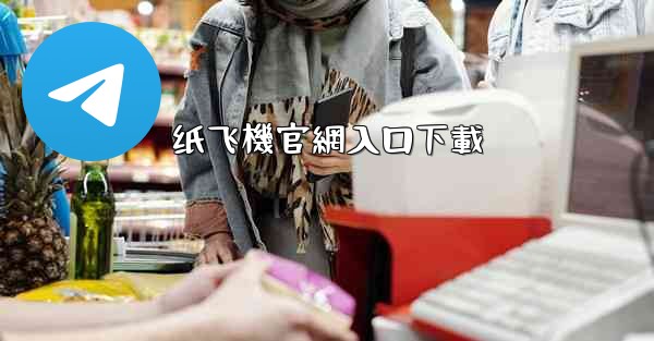 纸飞機官網入口下載