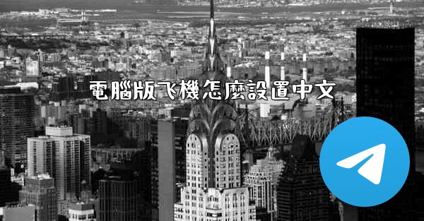 電腦版飞機怎麼設置中文