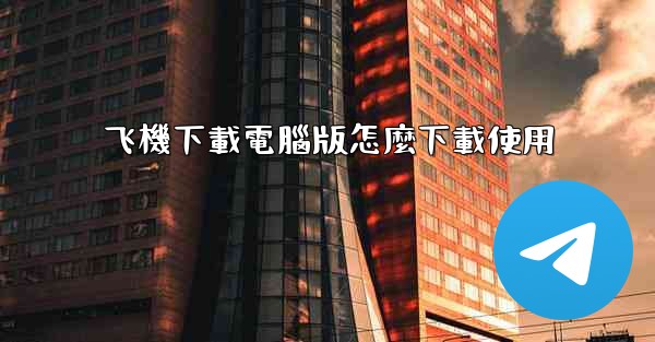 飞機下載電腦版怎麼下載使用
