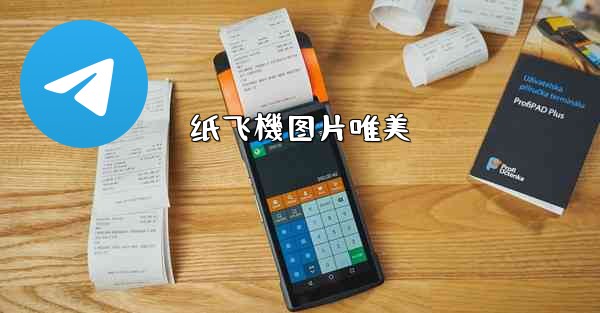 纸飞機图片唯美