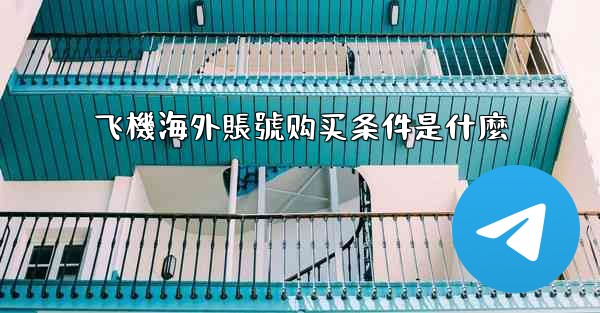 飞機海外賬號购买条件是什麼