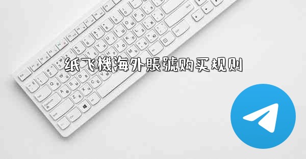 纸飞機海外賬號购买规则