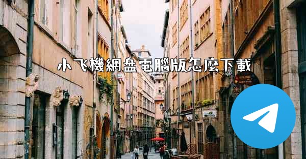 小飞機網盘電腦版怎麼下載