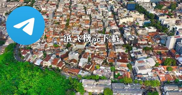 纸飞機pc下載