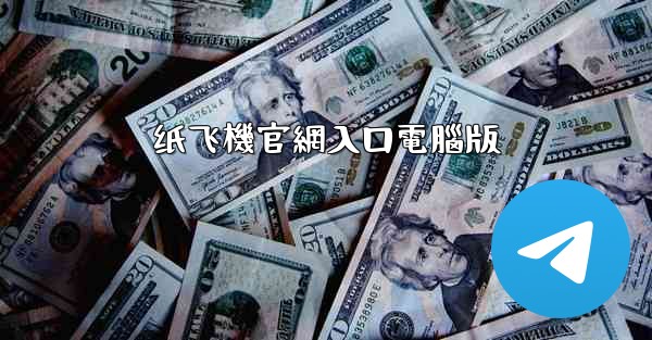 纸飞機官網入口電腦版