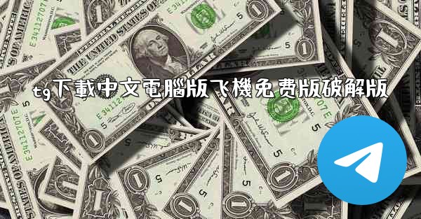 tg下載中文電腦版飞機免费版破解版