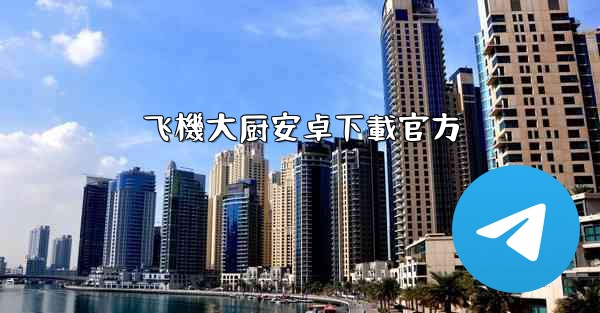 飞機大厨安卓下載官方