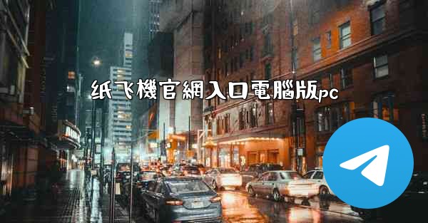 纸飞機官網入口電腦版pc