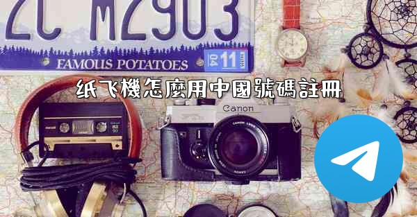 纸飞機怎麼用中國號碼註冊