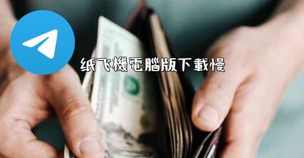 纸飞機電腦版下載慢