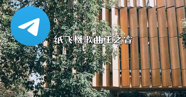 纸飞機歌曲王之睿