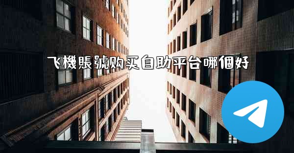 飞機賬號购买自助平台哪個好