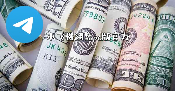 小飞機網盘pc版官方