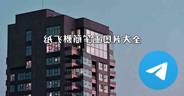 纸飞機簡笔画图片大全