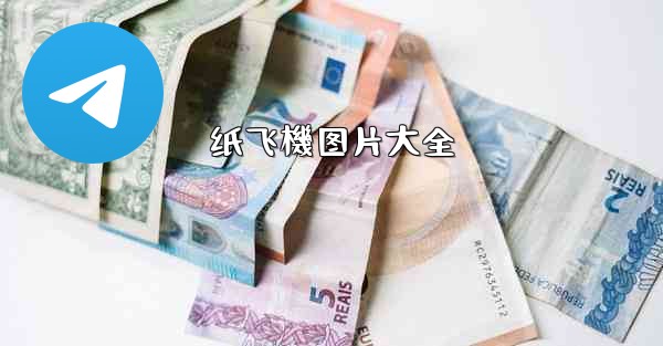 纸飞機图片大全