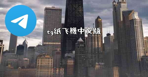 tg纸飞機中文版