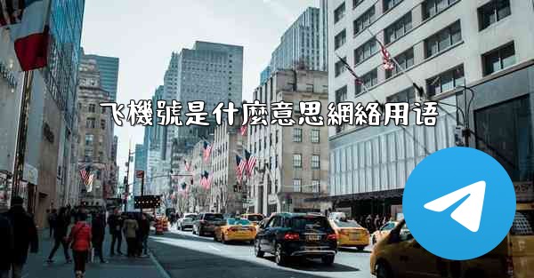 飞機號是什麼意思網絡用语