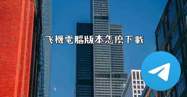 飞機電腦版本怎麼下載